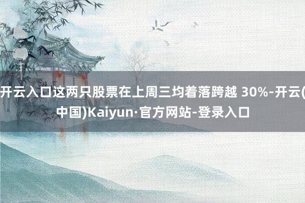 开云入口这两只股票在上周三均着落跨越 30%-开云(中国)Kaiyun·官方网站-登录入口