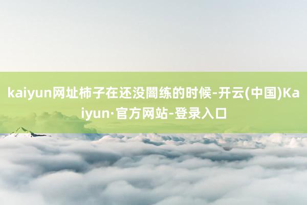 kaiyun网址柿子在还没闇练的时候-开云(中国)Kaiyun·官方网站-登录入口