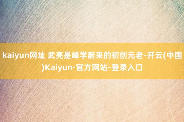kaiyun网址 武亮是峰学蔚来的初创元老-开云(中国)Kaiyun·官方网站-登录入口